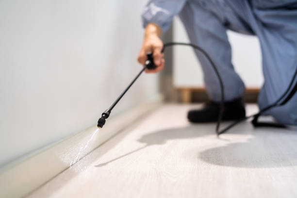 Licensed Ant Control service in Potterville, MI - Nex Pest Control