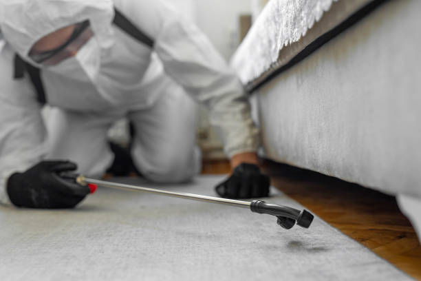 Professional Ant Control technician working in Potterville, MI