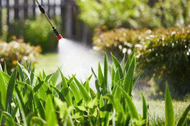 24/7 Emergency Ant Control experts in Potterville, MI