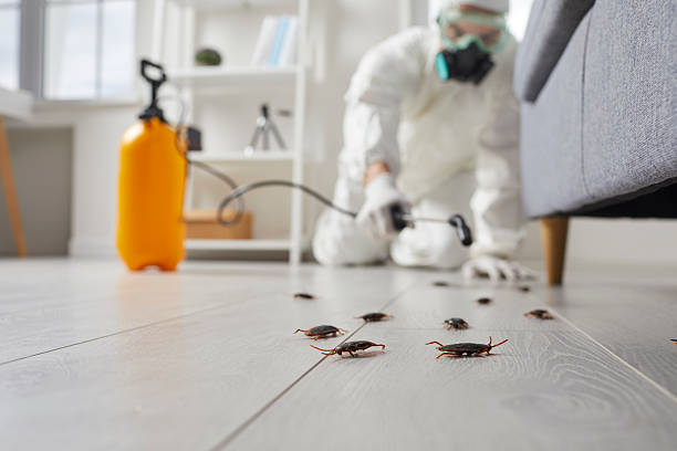 Trusted Termite Control service in Potterville, MI - Nex Pest Control