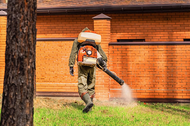 Trusted Ant Control service in Potterville, MI - Nex Pest Control